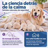 La ciencia detrás de la calma: madre con cachorros y explicación de las feromonas naturales y sus análogos sintéticos.