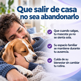 Dueño abrazando a su beagle y tres ideas para acompañar su bienestar durante la ausencia.