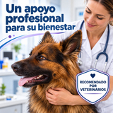 Pastor alemán con veterinaria y escudo Recomendado por veterinarios.