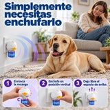 Labrador en casa e instrucciones para montar y colocar el difusor.